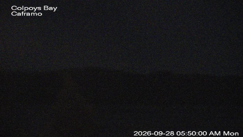 Live camera feed from Caframo in Georgian Bluffs, Ontario, Canada