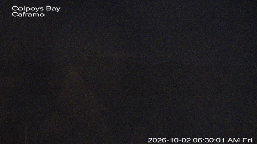 Live camera feed from Caframo in Georgian Bluffs, Ontario, Canada