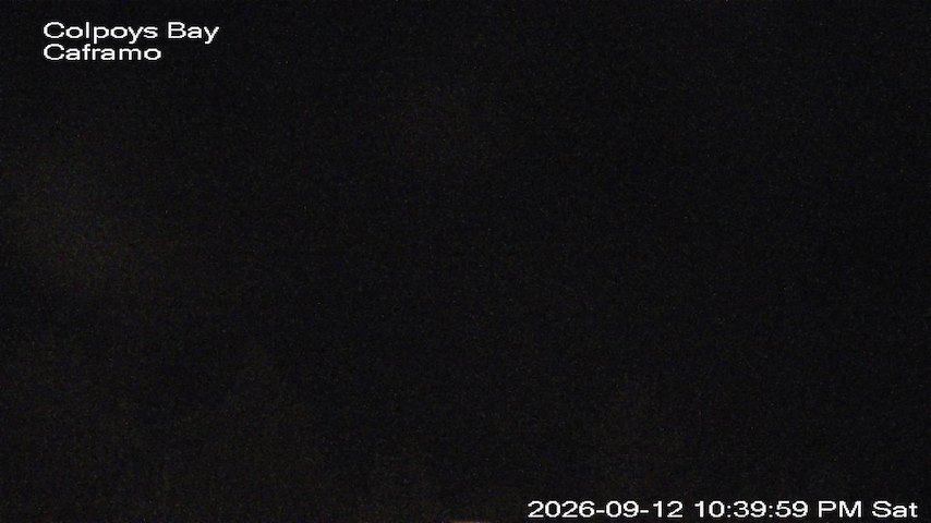 Live camera feed from Caframo in Georgian Bluffs, Ontario, Canada