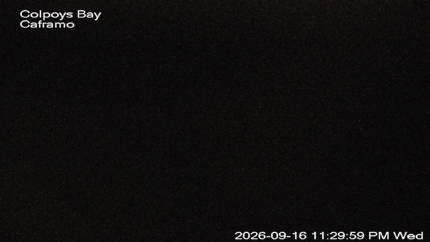 Live camera feed from Caframo in Georgian Bluffs, Ontario, Canada