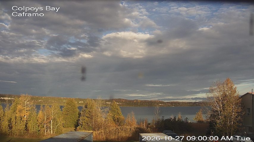 Live camera feed from Caframo in Georgian Bluffs, Ontario, Canada