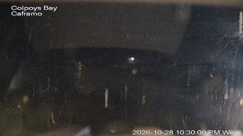 Live camera feed from Caframo in Georgian Bluffs, Ontario, Canada