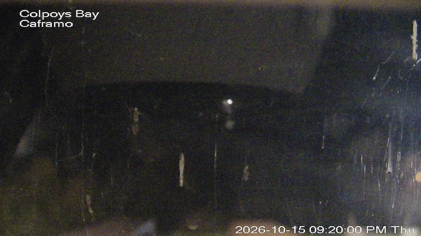 Live camera feed from Caframo in Georgian Bluffs, Ontario, Canada