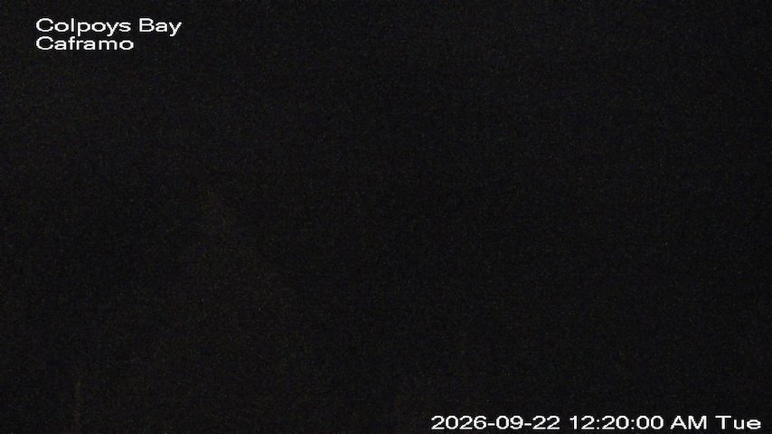 Live camera feed from Caframo in Georgian Bluffs, Ontario, Canada