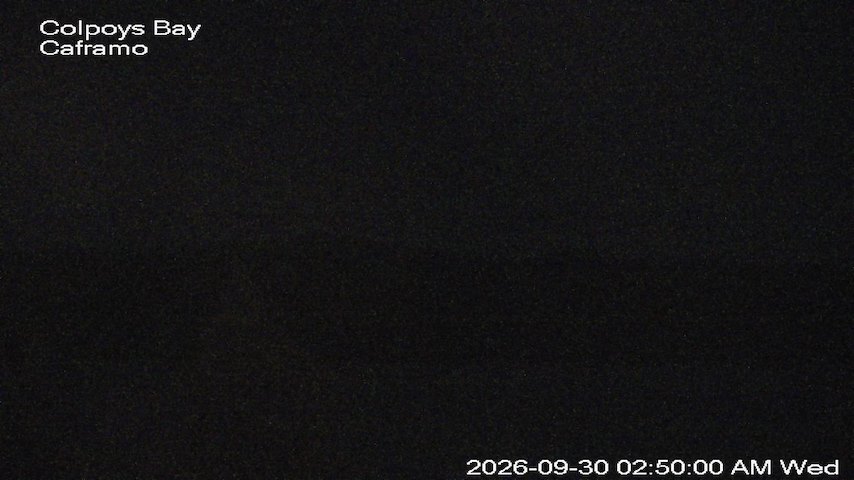 Live camera feed from Caframo in Georgian Bluffs, Ontario, Canada