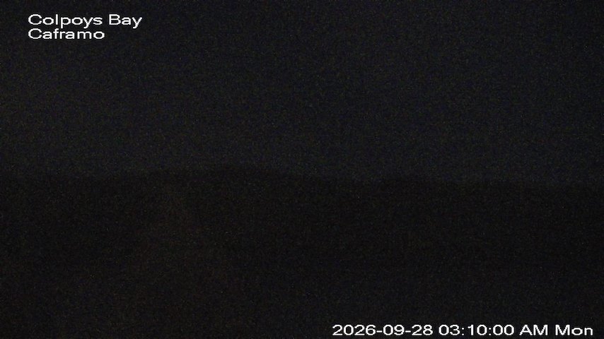 Live camera feed from Caframo in Georgian Bluffs, Ontario, Canada