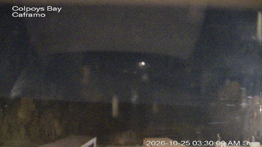 Live camera feed from Caframo in Georgian Bluffs, Ontario, Canada