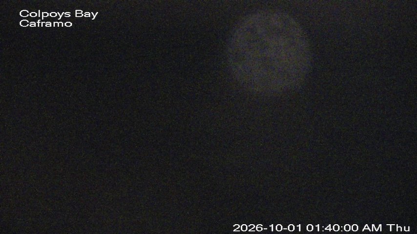 Live camera feed from Caframo in Georgian Bluffs, Ontario, Canada