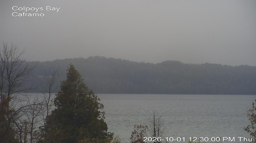 Live camera feed from Caframo in Georgian Bluffs, Ontario, Canada