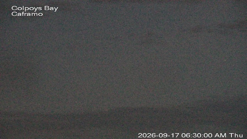 Live camera feed from Caframo in Georgian Bluffs, Ontario, Canada