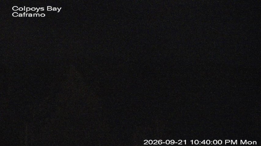 Live camera feed from Caframo in Georgian Bluffs, Ontario, Canada
