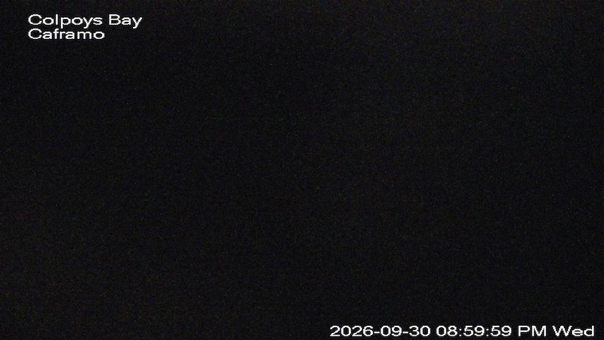 Live camera feed from Caframo in Georgian Bluffs, Ontario, Canada