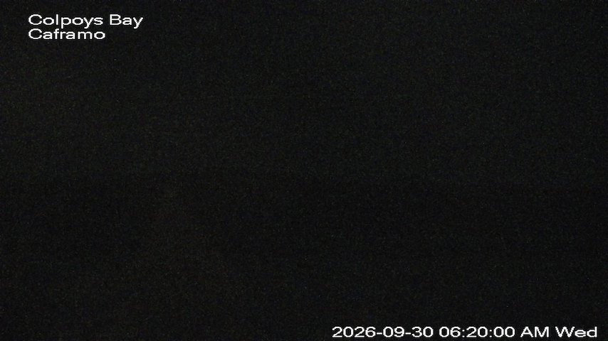 Live camera feed from Caframo in Georgian Bluffs, Ontario, Canada