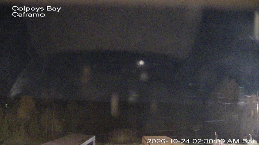Live camera feed from Caframo in Georgian Bluffs, Ontario, Canada