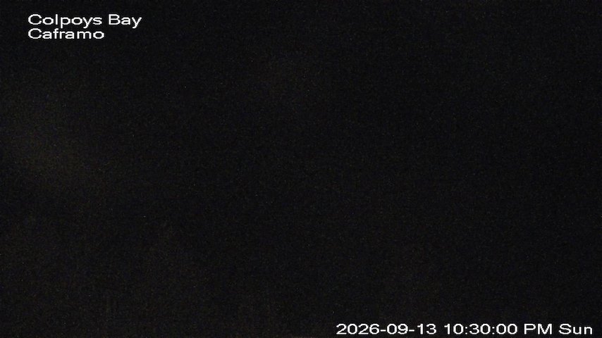 Live camera feed from Caframo in Georgian Bluffs, Ontario, Canada