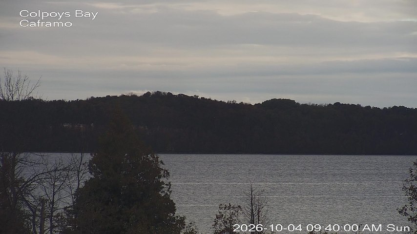 Live camera feed from Caframo in Georgian Bluffs, Ontario, Canada