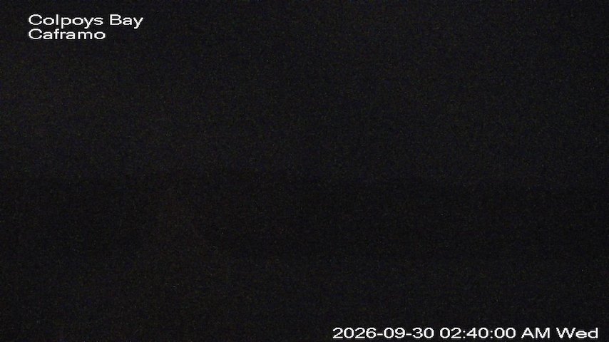 Live camera feed from Caframo in Georgian Bluffs, Ontario, Canada