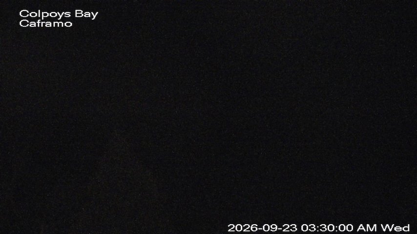 Live camera feed from Caframo in Georgian Bluffs, Ontario, Canada