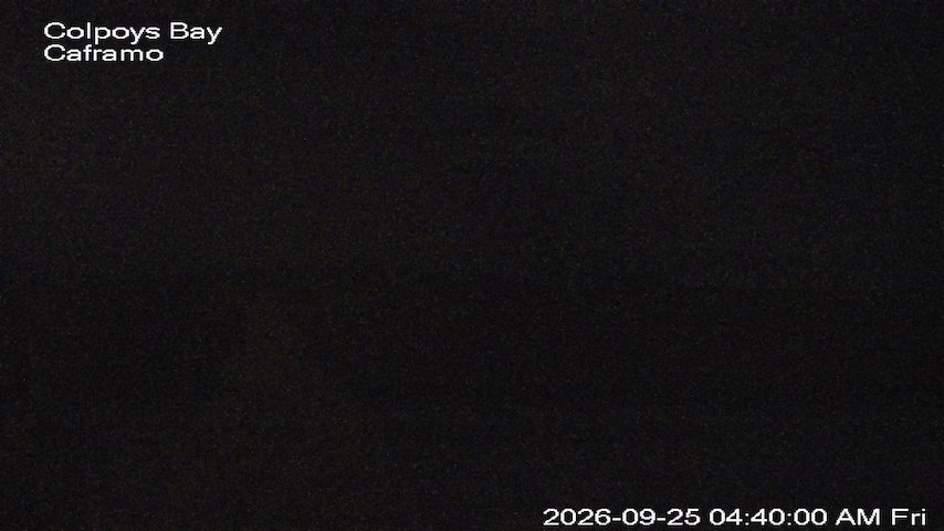 Live camera feed from Caframo in Georgian Bluffs, Ontario, Canada