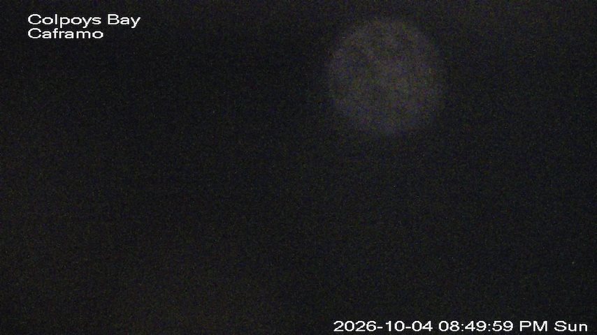 Live camera feed from Caframo in Georgian Bluffs, Ontario, Canada