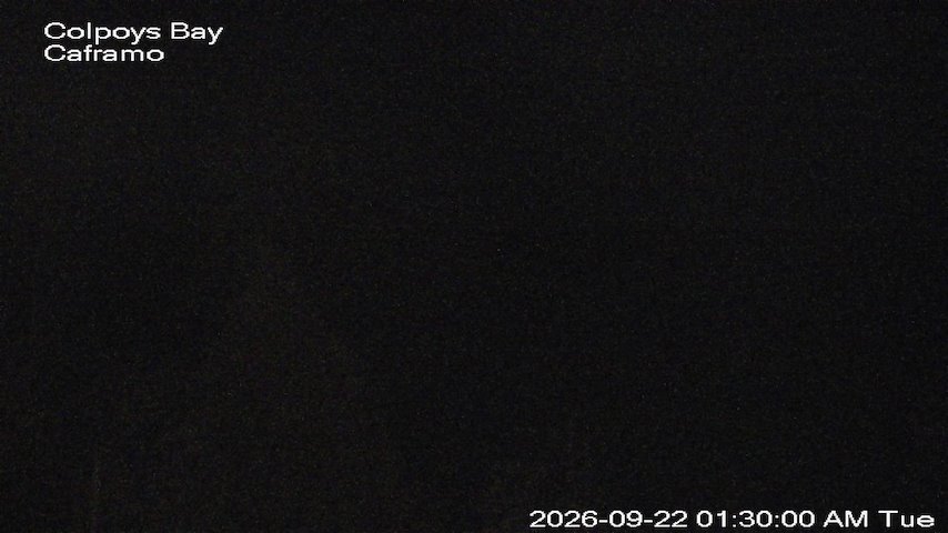 Live camera feed from Caframo in Georgian Bluffs, Ontario, Canada