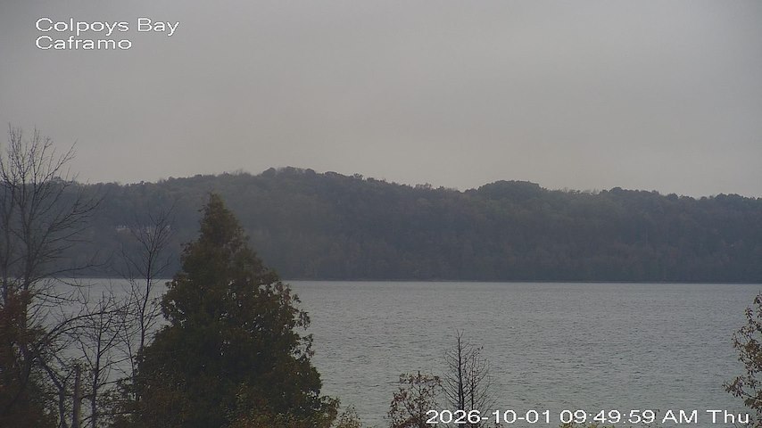 Live camera feed from Caframo in Georgian Bluffs, Ontario, Canada