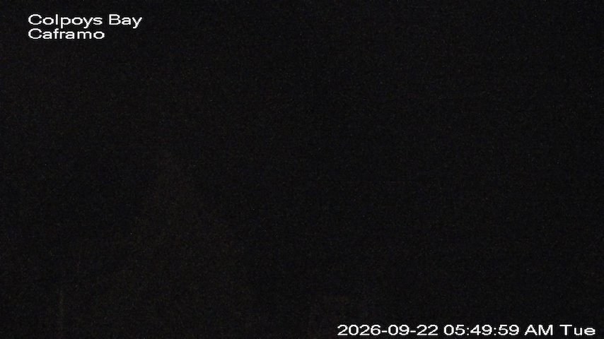 Live camera feed from Caframo in Georgian Bluffs, Ontario, Canada
