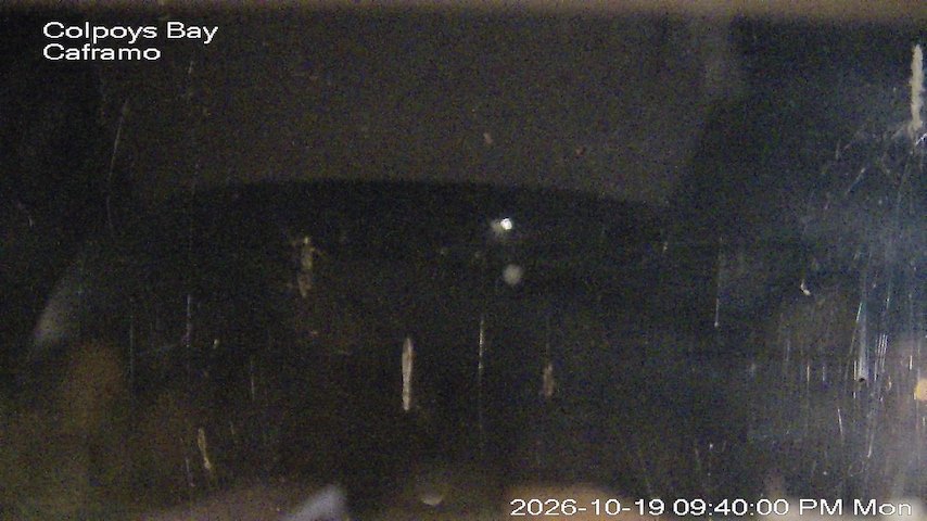 Live camera feed from Caframo in Georgian Bluffs, Ontario, Canada