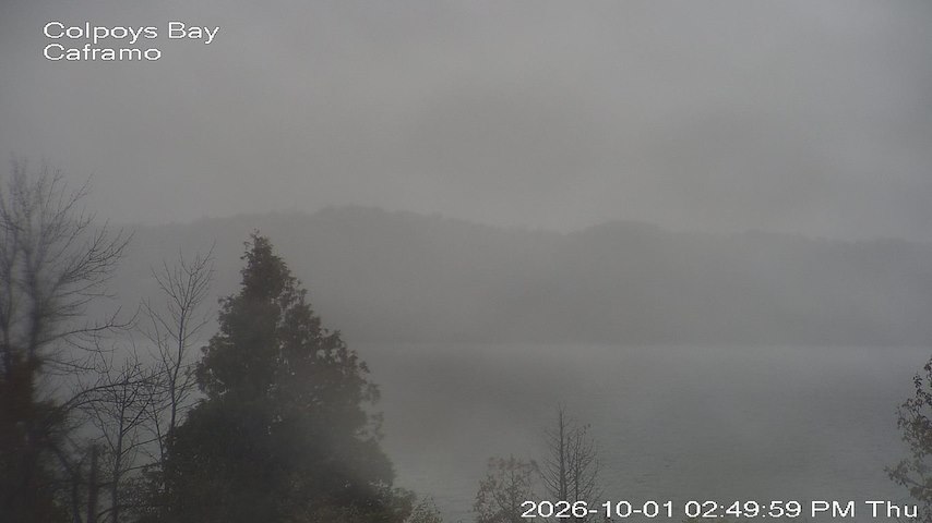 Live camera feed from Caframo in Georgian Bluffs, Ontario, Canada