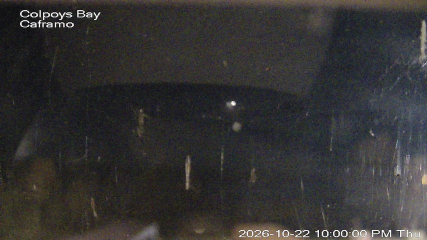 Live camera feed from Caframo in Georgian Bluffs, Ontario, Canada