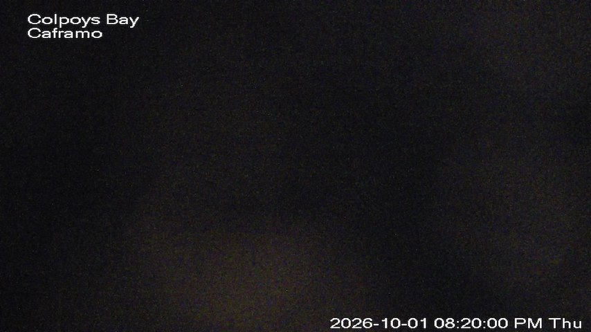 Live camera feed from Caframo in Georgian Bluffs, Ontario, Canada
