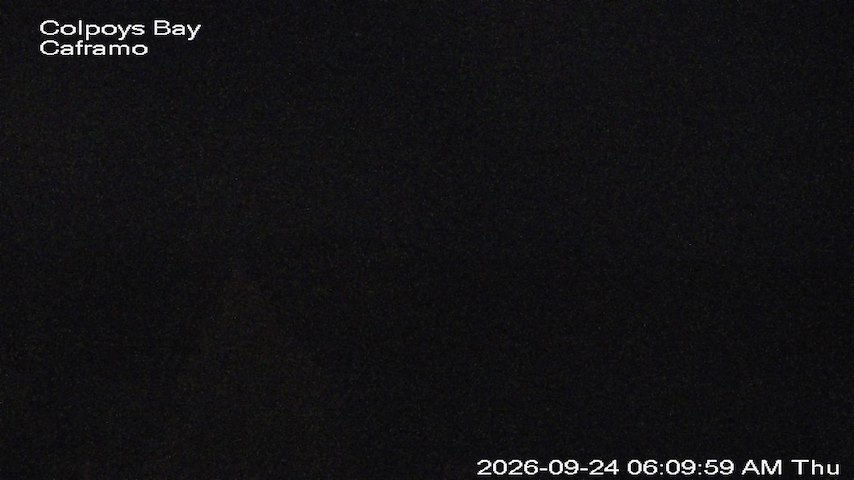 Live camera feed from Caframo in Georgian Bluffs, Ontario, Canada