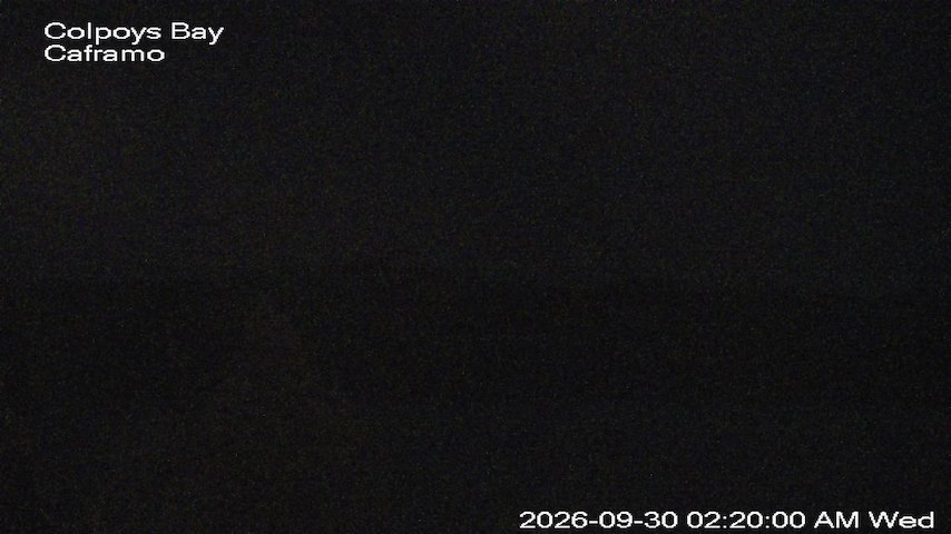 Live camera feed from Caframo in Georgian Bluffs, Ontario, Canada