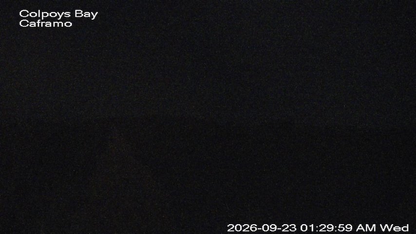 Live camera feed from Caframo in Georgian Bluffs, Ontario, Canada