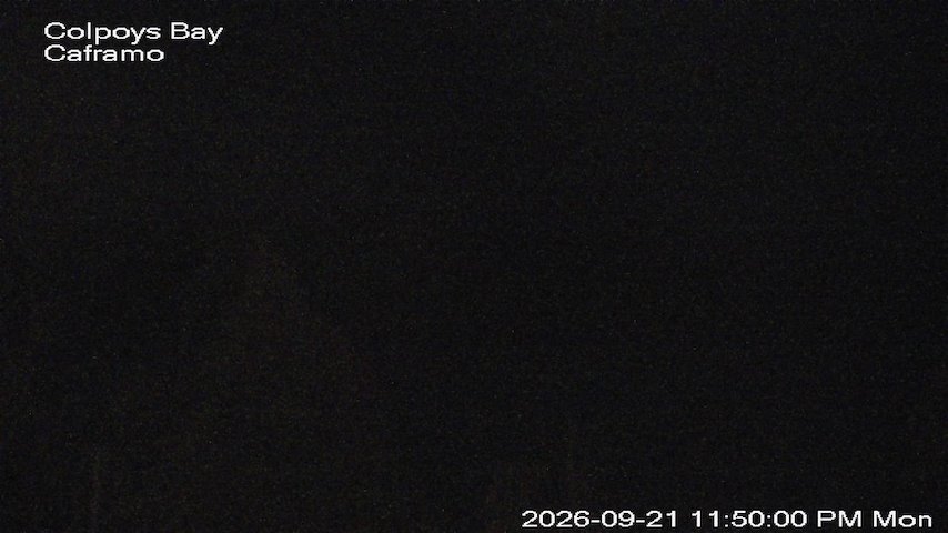 Live camera feed from Caframo in Georgian Bluffs, Ontario, Canada