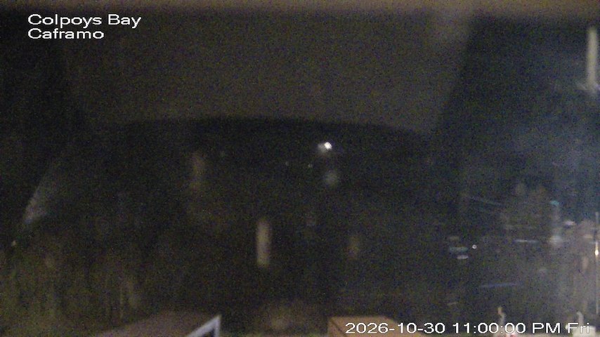 Live camera feed from Caframo in Georgian Bluffs, Ontario, Canada