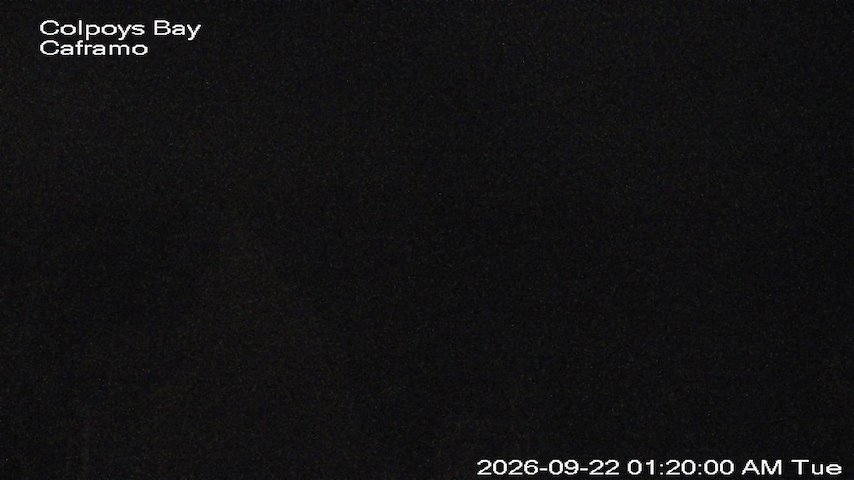 Live camera feed from Caframo in Georgian Bluffs, Ontario, Canada