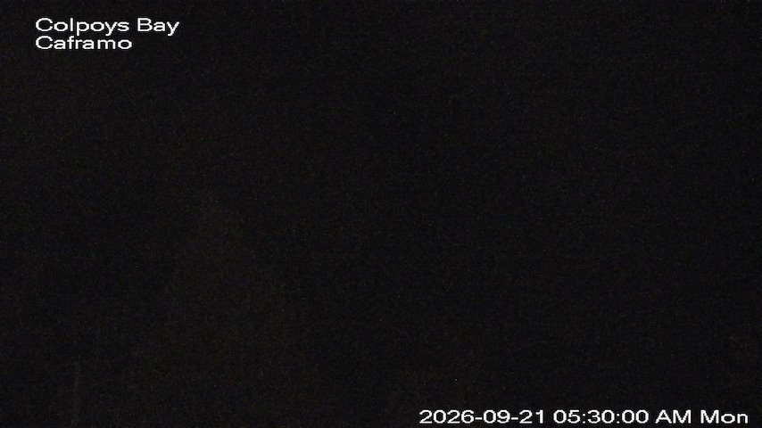 Live camera feed from Caframo in Georgian Bluffs, Ontario, Canada