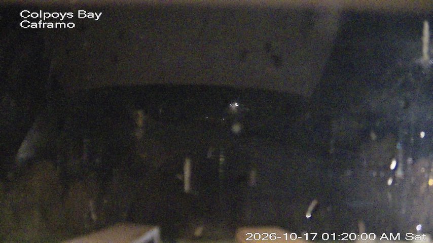 Live camera feed from Caframo in Georgian Bluffs, Ontario, Canada