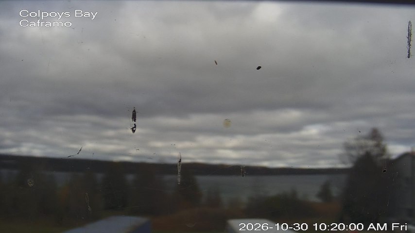 Live camera feed from Caframo in Georgian Bluffs, Ontario, Canada