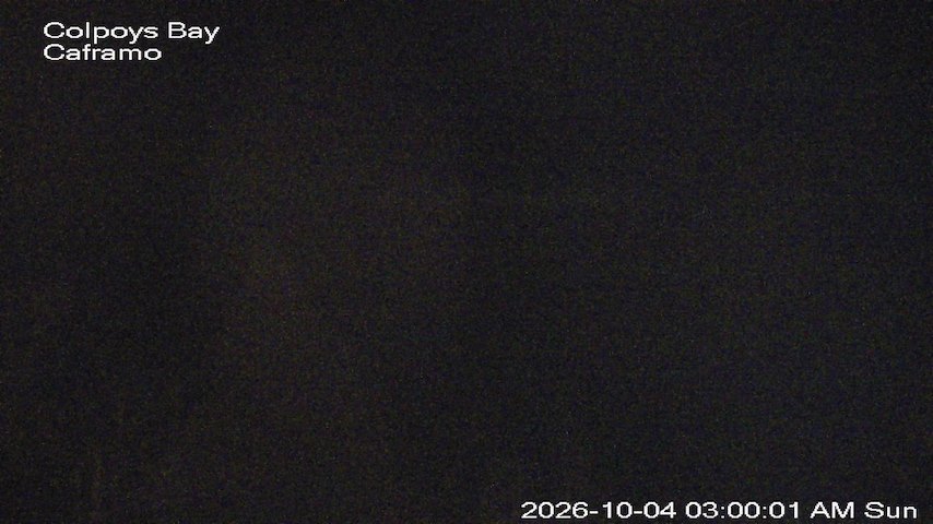 Live camera feed from Caframo in Georgian Bluffs, Ontario, Canada