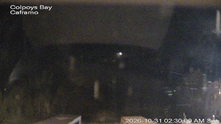 Live camera feed from Caframo in Georgian Bluffs, Ontario, Canada