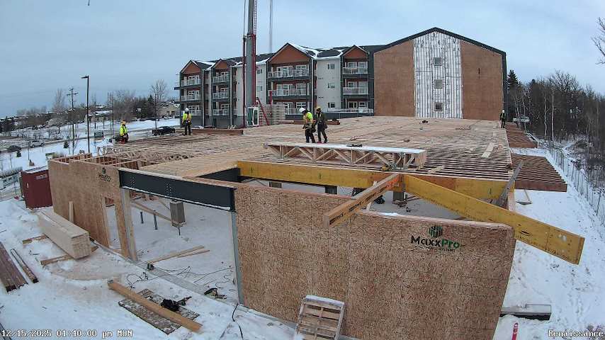 Renaissance Phase 2 Image