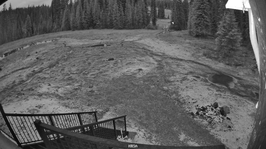 Live camera feed from Main Chalet in Main Chalet