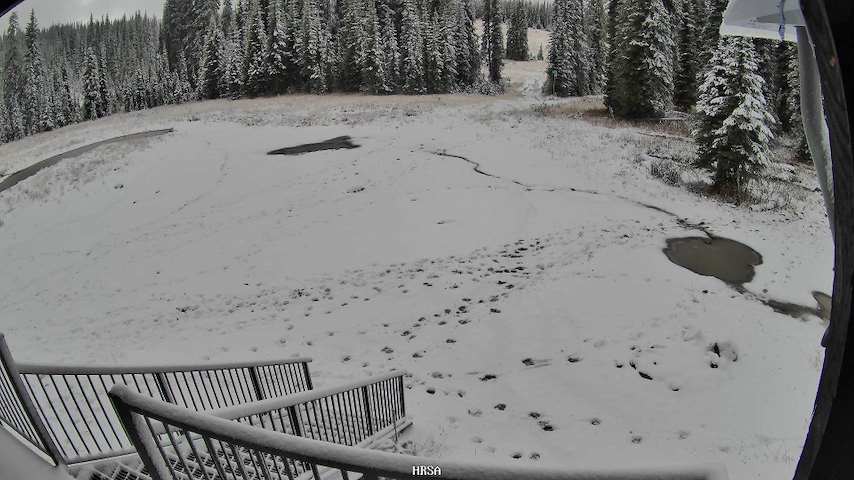 Live camera feed from Main Chalet in Main Chalet