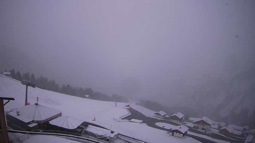 Damüls, Alpenstern Panoramahotel Image