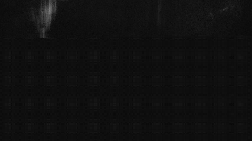 Damüls, Alpenstern Panoramahotel Image