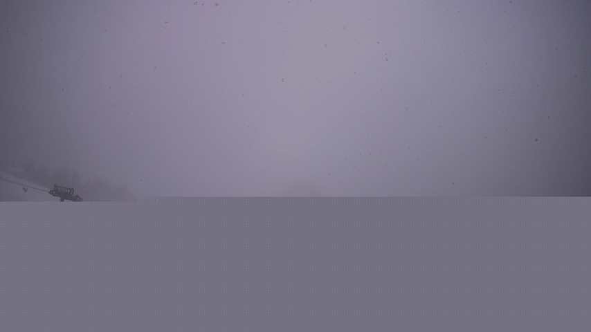 Damüls, Alpenstern Panoramahotel Image