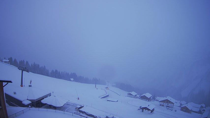 Damüls, Alpenstern Panoramahotel Image