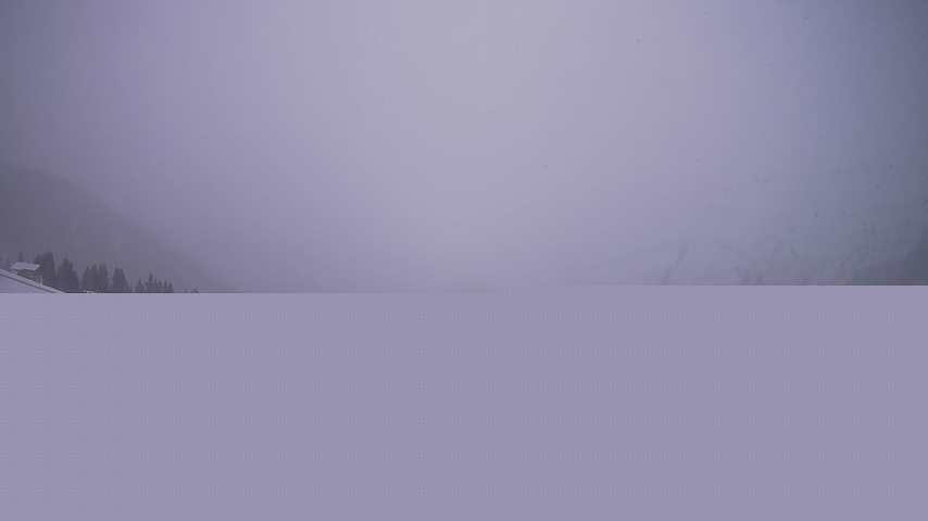 Damüls, Alpenstern Panoramahotel Image